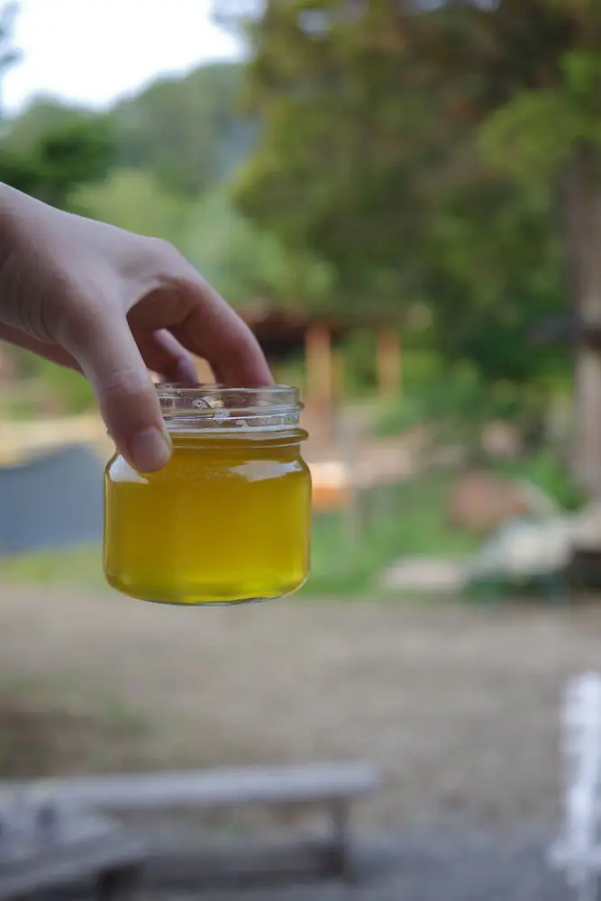 しっとり潤すアーユルヴェーダの基本オイル|ギーの作り方と使い方