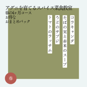 アグニを育てるスパイス菜食教室 春コース4ヶ月おまとめパック