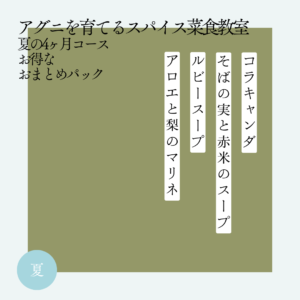 アグニを育てるスパイス菜食教室 夏コース4ヶ月おまとめパック